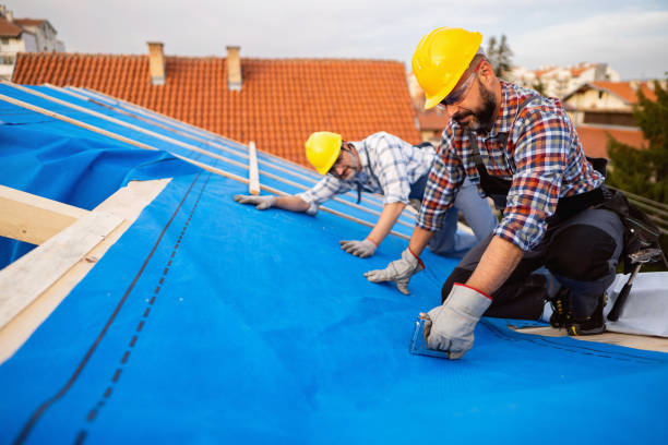 Best Storm Damage Roof Repair  in Zephyrhills West, FL