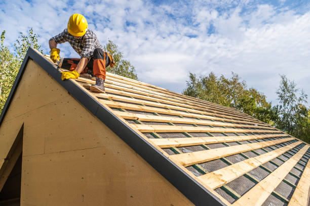 Best Roof Repair Services  in Zephyrhills West, FL