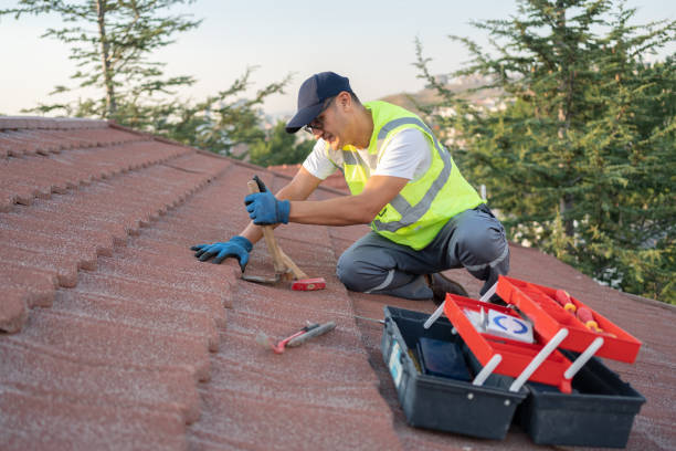 Gutter Installation and Roofing in Zephyrhills West, FL