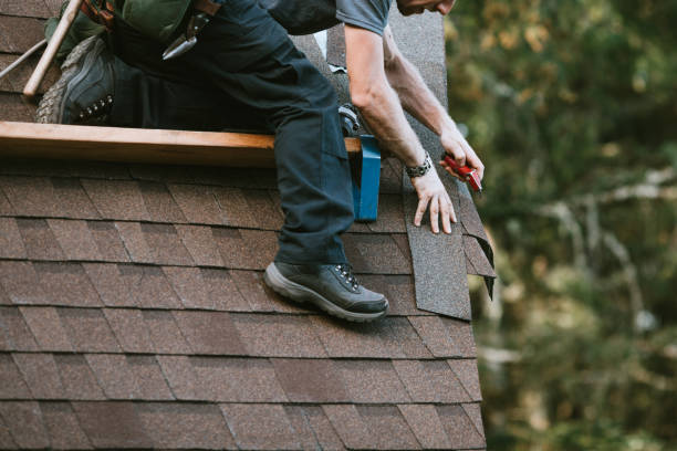 Best Roof Maintenance Services  in Zephyrhills West, FL