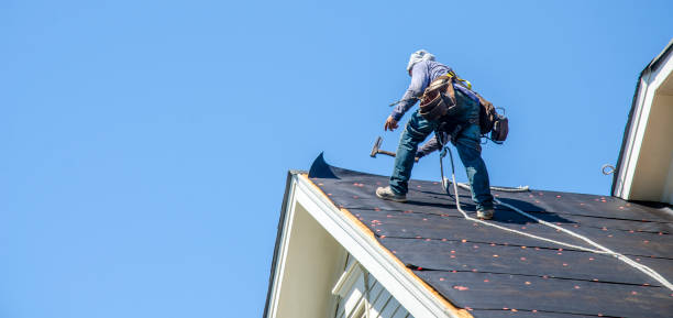 Best Commercial Roofing Services  in Zephyrhills West, FL